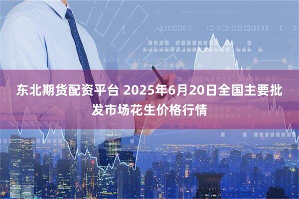 东北期货配资平台 2025年6月20日全国主要批发市场花生价格行情