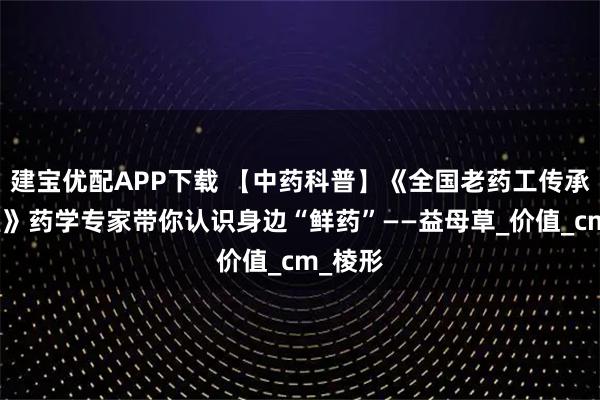 建宝优配APP下载 【中药科普】《全国老药工传承工作室》药学专家带你认识身边“鲜药”——益母草_价值_cm_棱形
