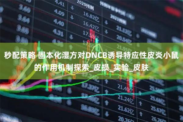 秒配策略 固本化湿方对DNCB诱导特应性皮炎小鼠的作用机制探索_皮损_实验_皮肤