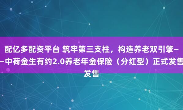 配亿多配资平台 筑牢第三支柱，构造养老双引擎——中荷金生有约2.0养老年金保险（分红型）正式发售