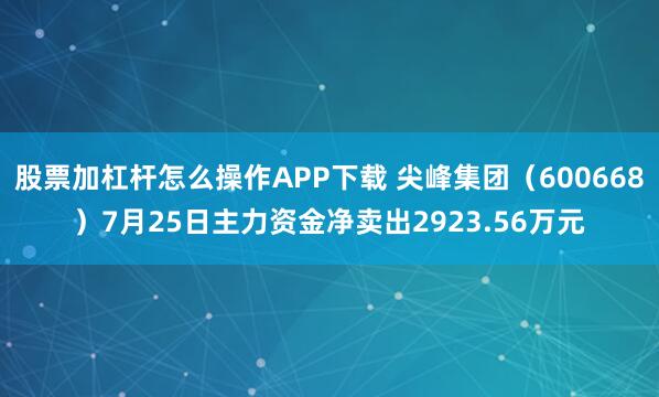 股票加杠杆怎么操作APP下载 尖峰集团（600668）7月25日主力资金净卖出2923.56万元