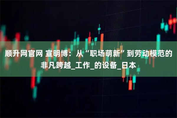 顺升网官网 宣明博：从“职场萌新”到劳动模范的非凡跨越_工作_的设备_日本