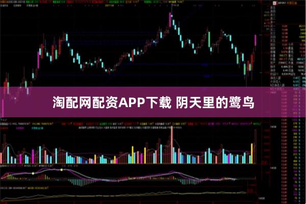 淘配网配资APP下载 阴天里的鹭鸟